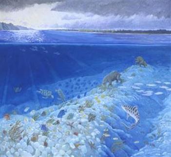 Shallow Tropical Embayment Mural