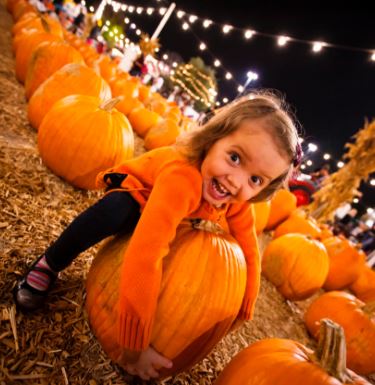 Child at pumpkin patch