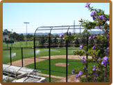 Outdoor baseball field from behind home plate